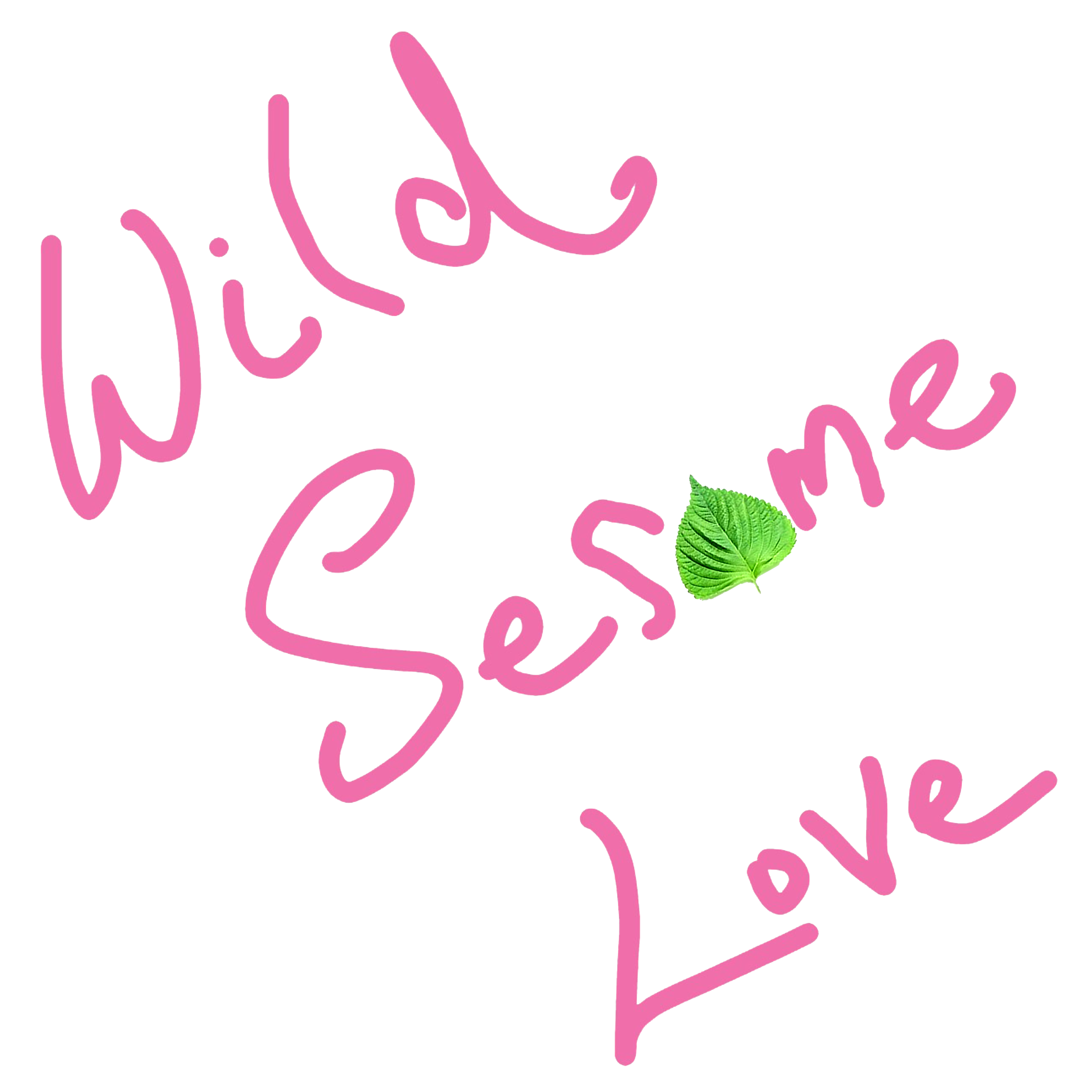 WILD SESAME LOVE